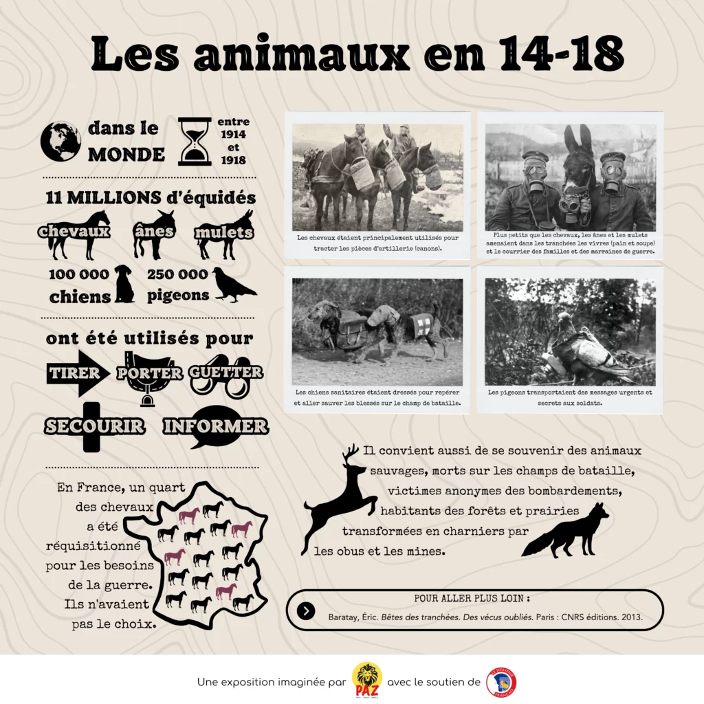Exposition animaux guerre panneau 1